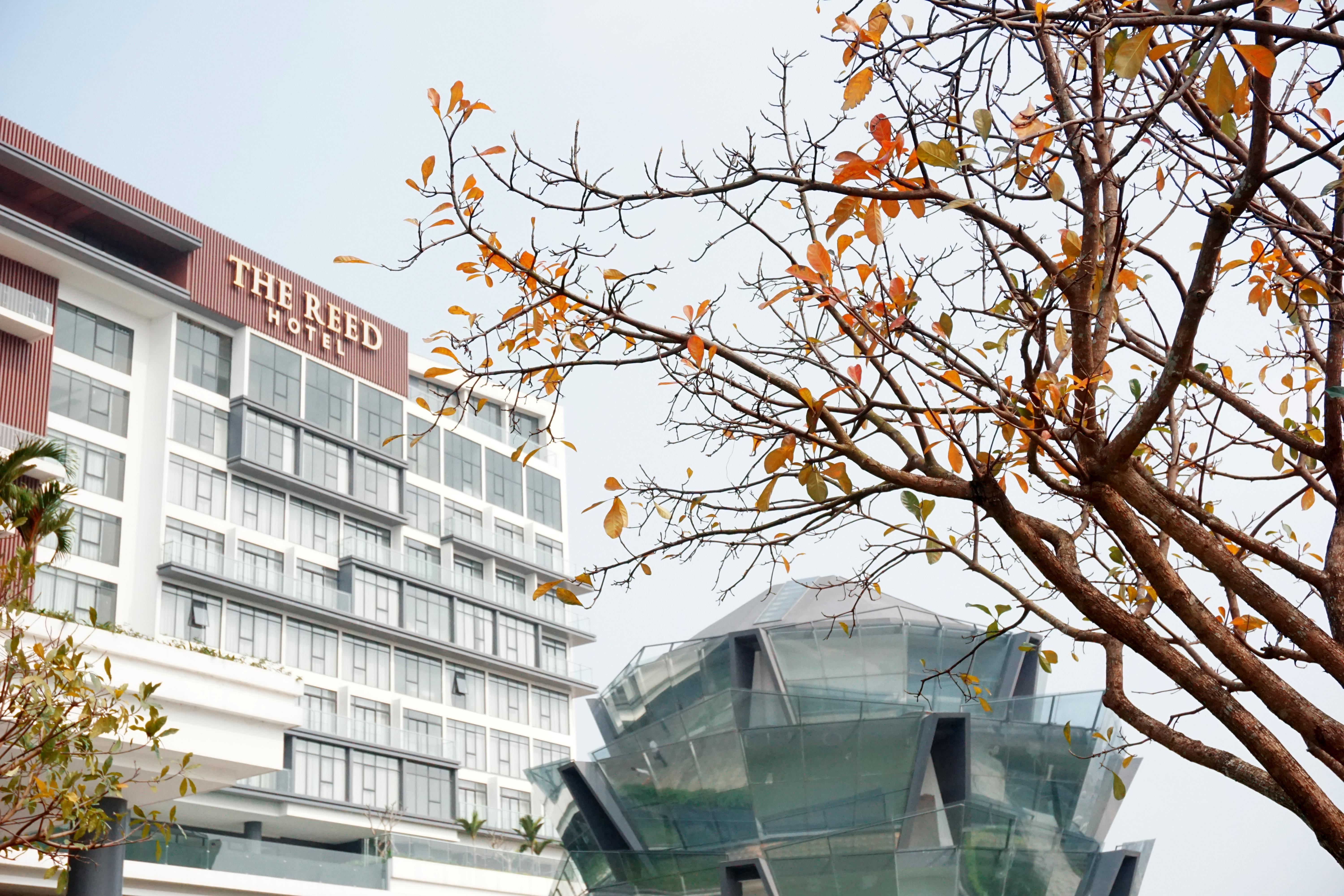 The Reed Hotel Ninh Binh Exteriér fotografie